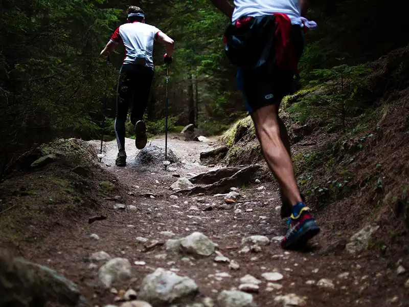 Trail foret Gorges du Tarn
